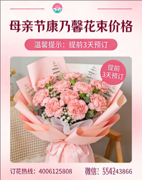 赣州兴国县花店母亲节康乃馨花束