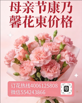赣州兴国县花店母亲节康乃馨花束